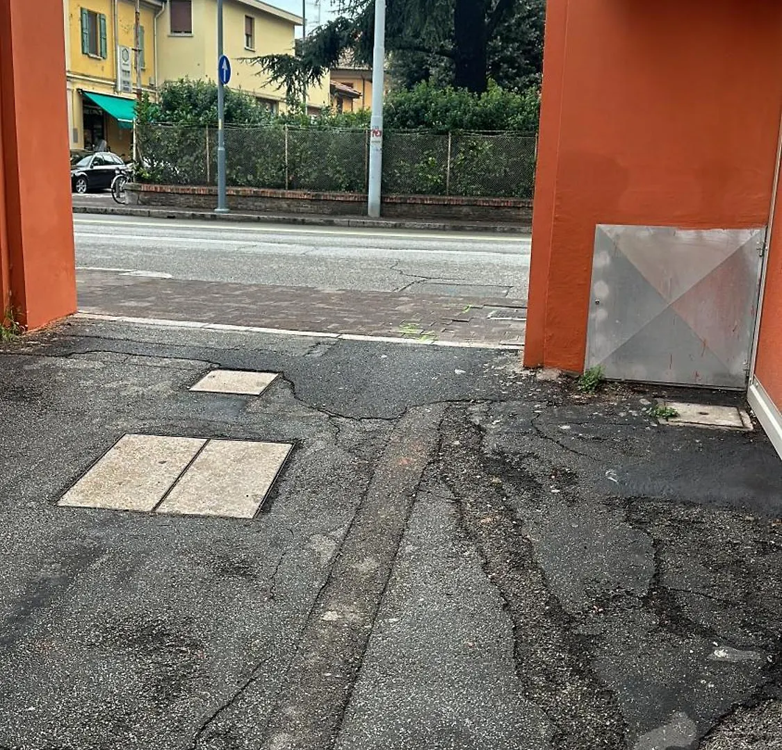 Concerti, Stadio E Aeroporto Bologna